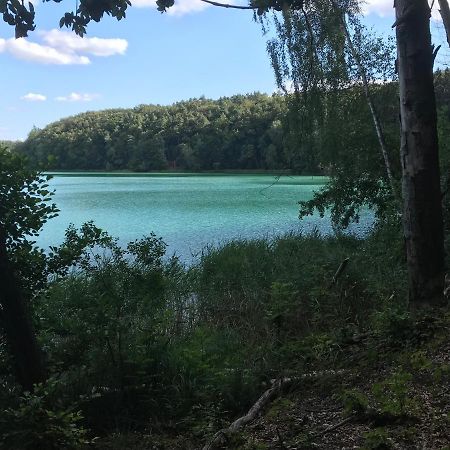 Willa Agroturystyka Zielone Zacisze Łagów Zewnętrze zdjęcie
