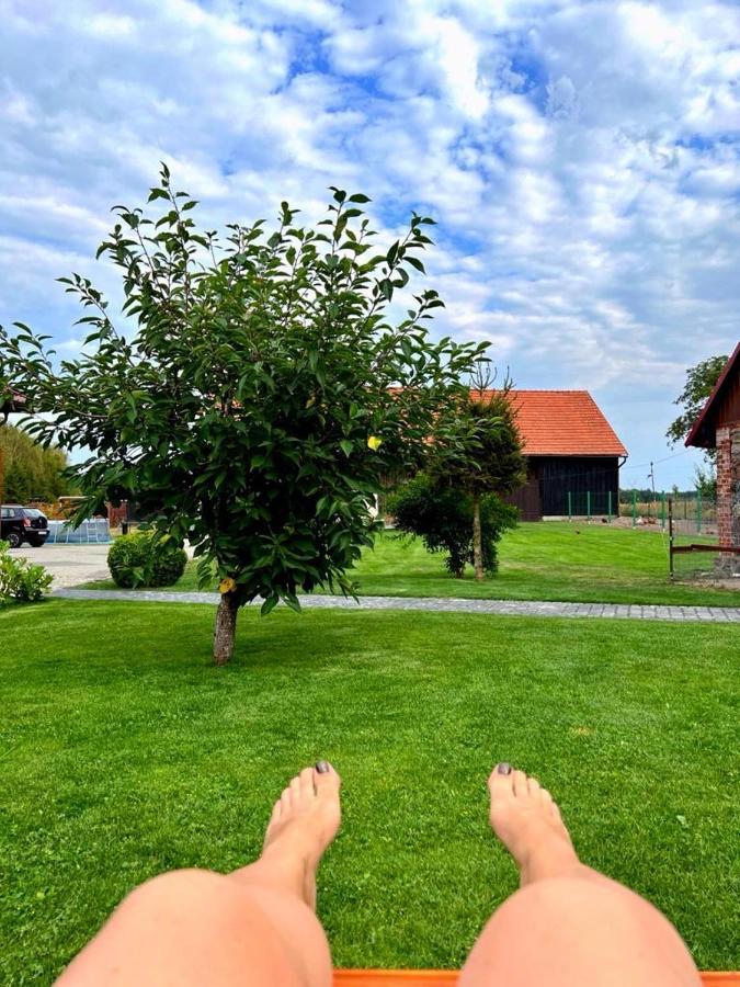 Willa Agroturystyka Zielone Zacisze Łagów Zewnętrze zdjęcie